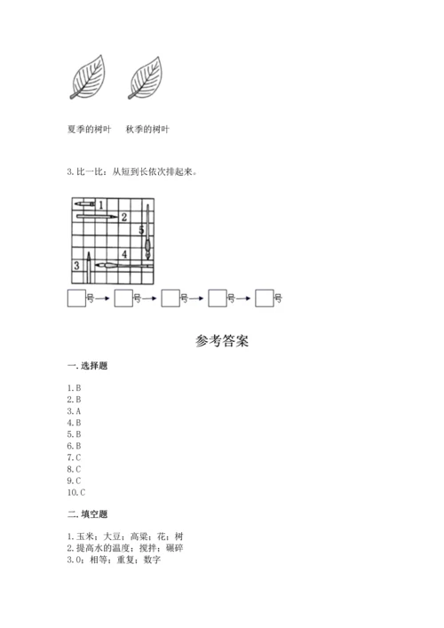 教科版一年级上册科学期末测试卷a4版.docx