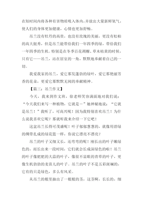 借物喻人的作文600字吊兰.docx