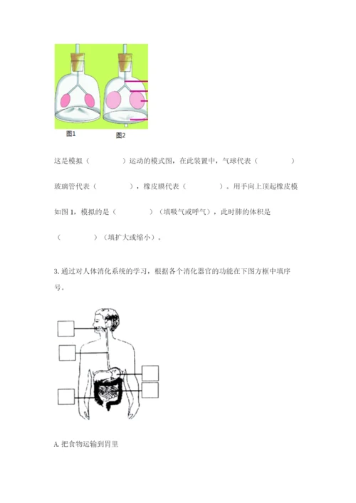 教科版四年级上册科学期末测试卷精品【实用】.docx