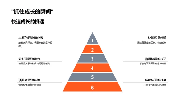 咨询行业全景解析