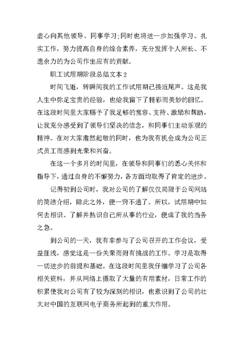 职工试用期阶段总结文本10篇