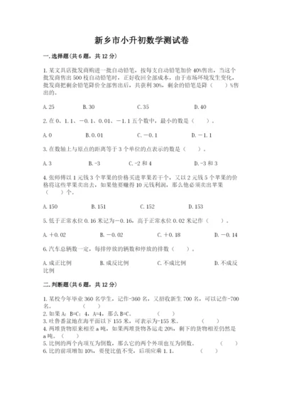 新乡市小升初数学测试卷附答案.docx