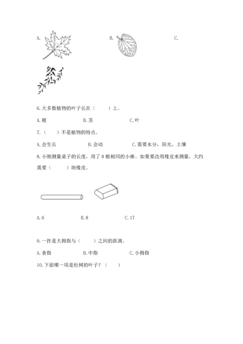 教科版小学一年级上册科学期末测试卷及参考答案【预热题】.docx