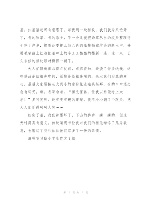 清明节习俗小学生作文7篇.docx