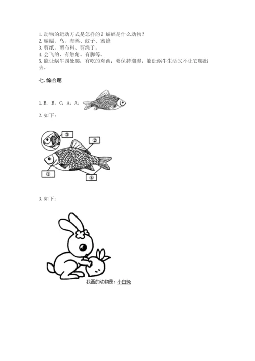 教科版小学科学一年级下册期末测试卷附参考答案【基础题】.docx