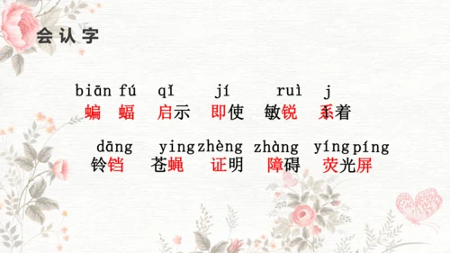 6夜间飞行的秘密  课件