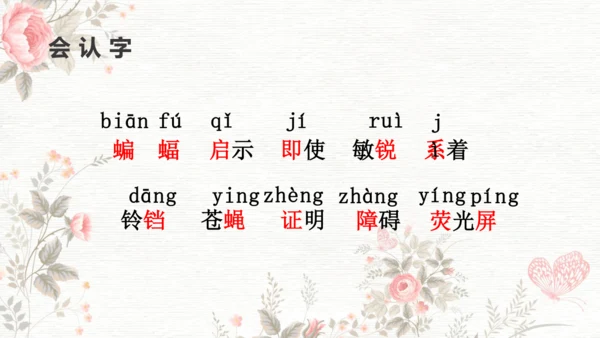 6夜间飞行的秘密  课件