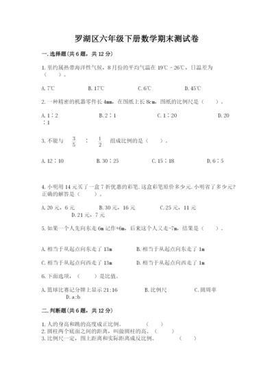 罗湖区六年级下册数学期末测试卷及精品答案.docx