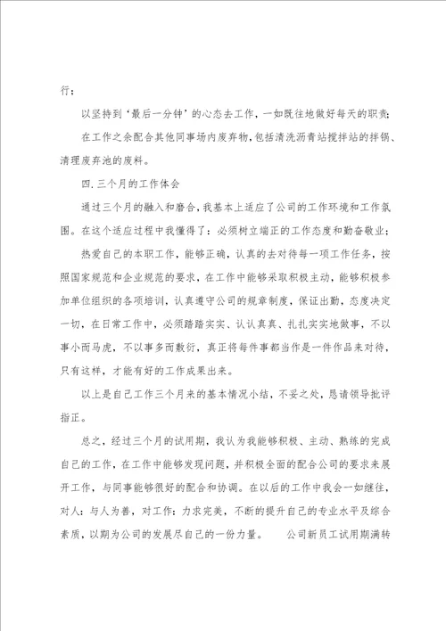 公司新员工试用期满转正简洁述职报告