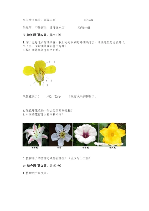 科学四年级下册第一单元《植物的生长变化》测试卷标准卷.docx