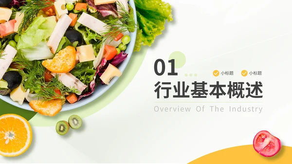绿色商务风餐饮项目介绍通用PPT模板