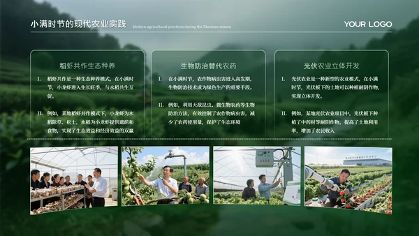 绿色小满节气的农业文化内涵PPT模板