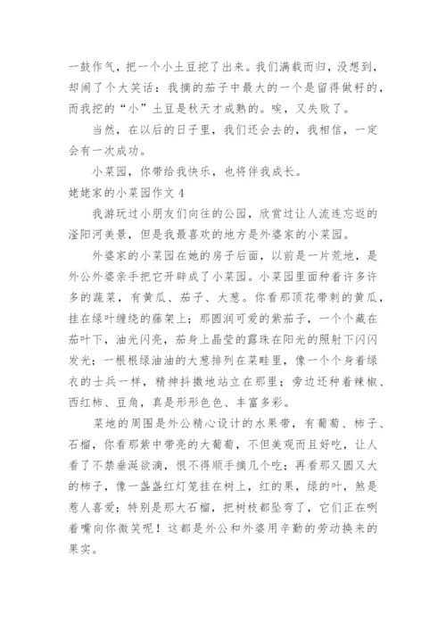 姥姥家的小菜园作文.docx