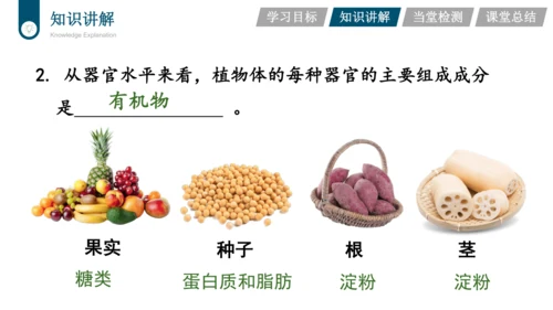 3.3.4  绿色植物是生物圈中有机物的制造者  课件-2023-2024学年人教版生物七年级上册(