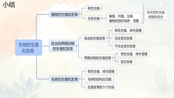 八年级下册第一章综合复习与测试课件(共16张PPT)人教版