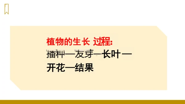 第14课《我要的是葫芦》（课件）