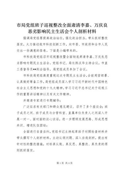 市局党组班子巡视整改全面肃清李嘉、万庆良恶劣影响民主生活会个人剖析材料.docx