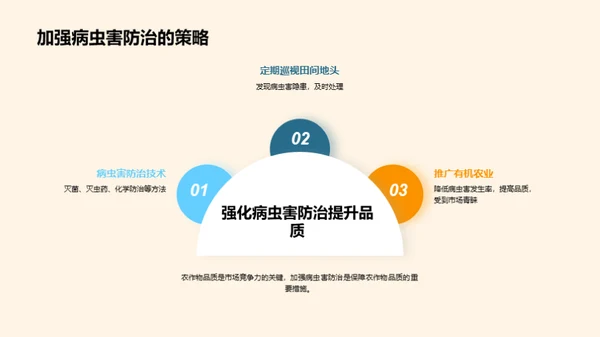 大暑气候与农业应对