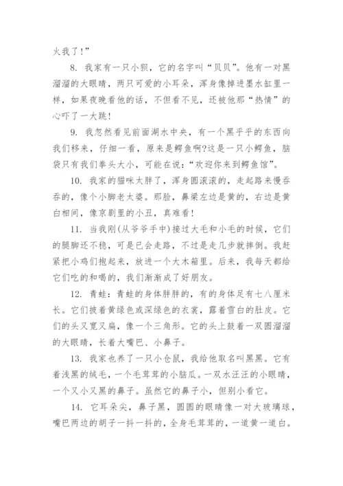 描写动物外形的句子.docx