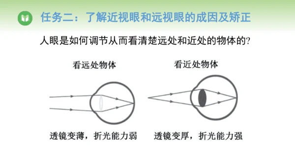2024-2025学年人教版物理八年级上册5.4 眼睛和眼镜课件（24页ppt）