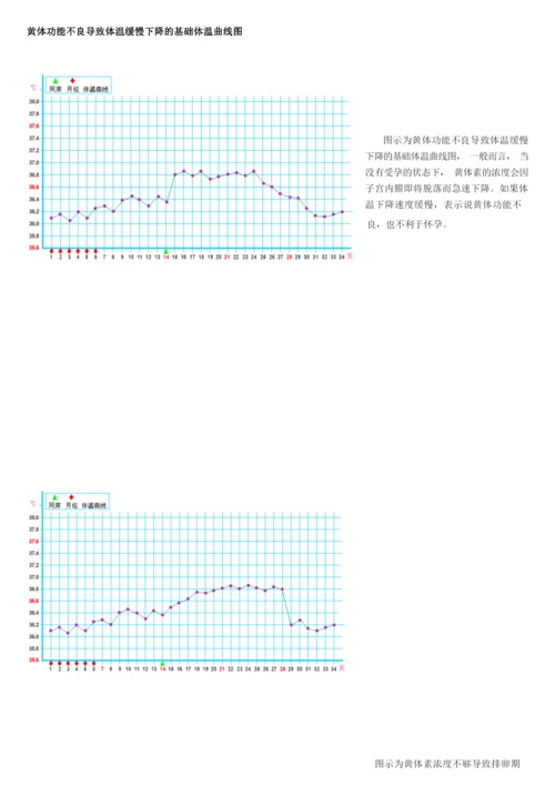 什么是基础体温.docx