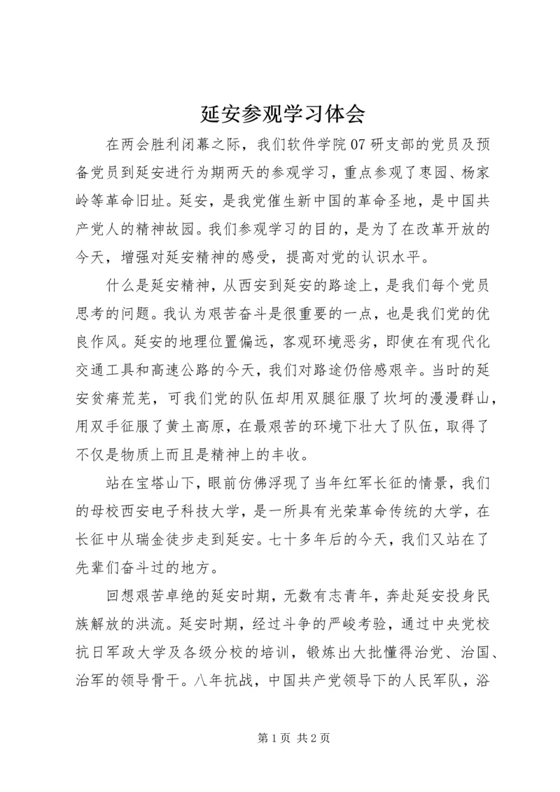 延安参观学习体会.docx