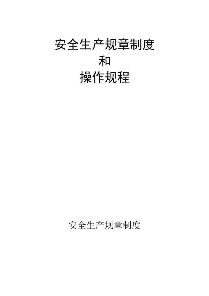 安全生产全新规章新版制度和操作专题规程.docx