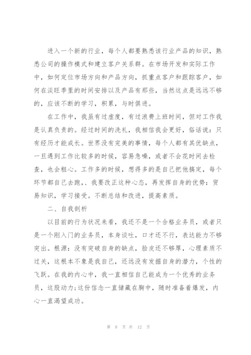 销售业务员个人工作总结3篇.docx