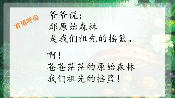 23祖先的摇篮 课件