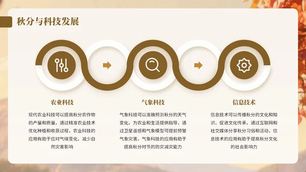棕色卡通中国风秋分节气宣传知识PPT