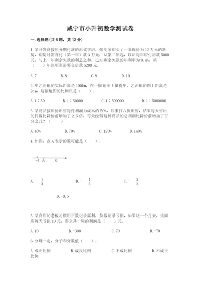 咸宁市小升初数学测试卷新版.docx