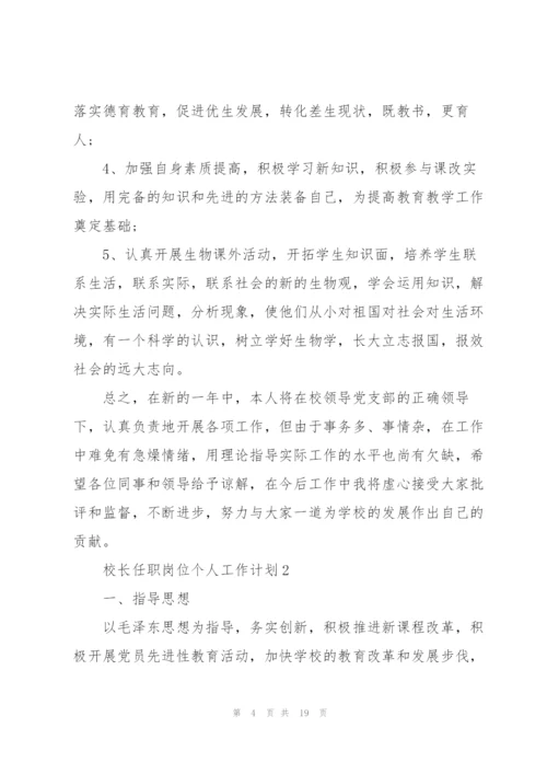 校长任职岗位个人工作计划.docx