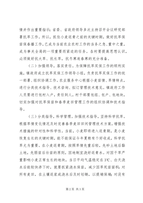 乡镇年度抗旱双保指导方案.docx