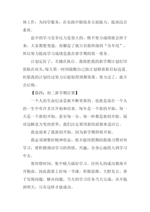 初二新学期打算作文.docx