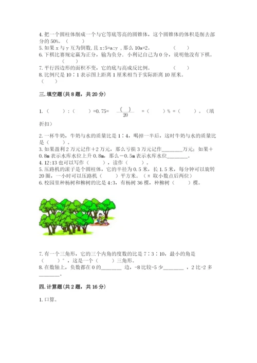小升初六年级期末试卷精品（巩固）.docx