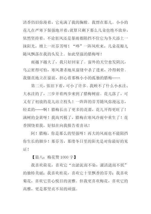 梅花的作文0.docx