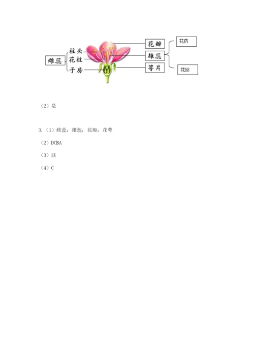 科学四年级下册第一单元植物的生长变化测试卷【有一套】.docx