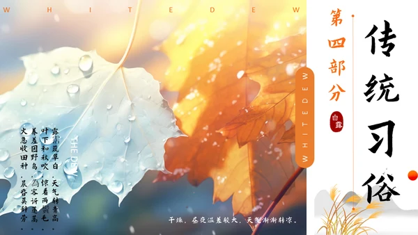 秋色白露节气，秋意浓通用PPT模板