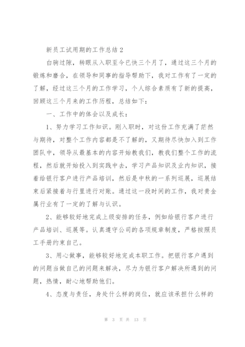 新员工试用期的工作总结.docx