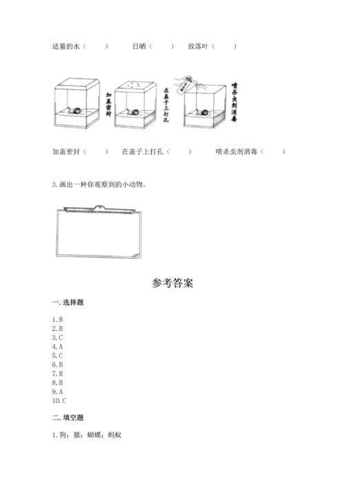 教科版一年级下册科学期末测试卷带答案（综合题）.docx