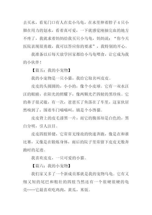 我的小宠物作文200字.docx