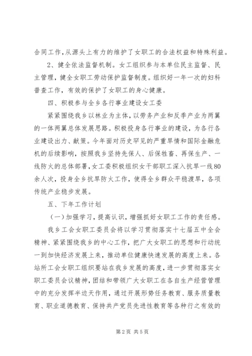 乡镇工会女职工委员会工作总结范文.docx