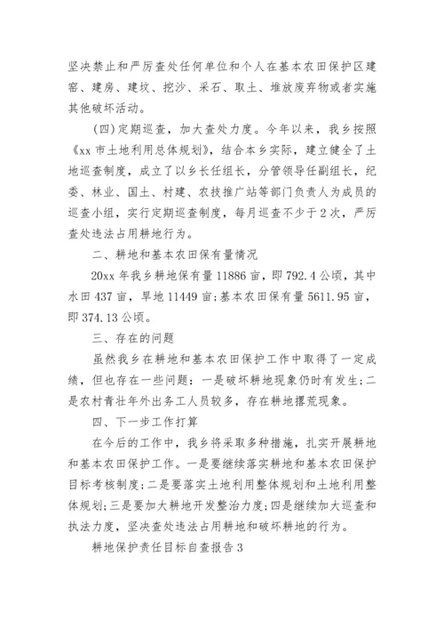 耕地保护责任目标自查报告.docx