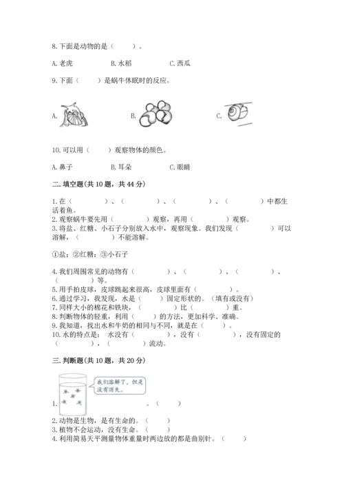 教科版一年级下册科学期末测试卷（能力提升）.docx