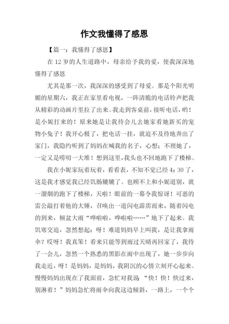 作文我懂得了感恩.docx
