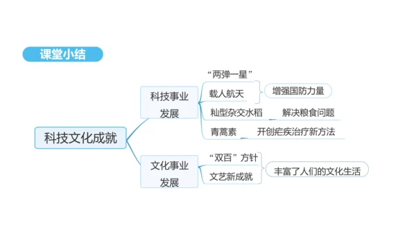 第18课 科技文化成就  课件 2024-2025学年统编版八年级历史下册