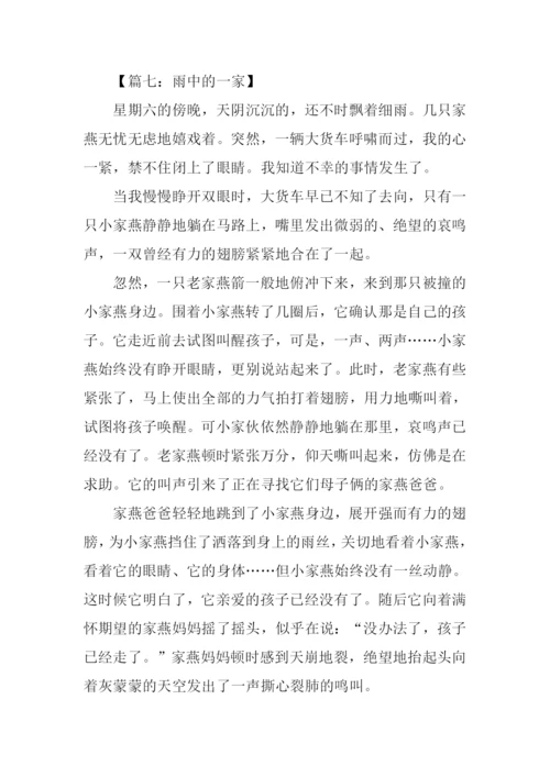 关于雨的作文.docx