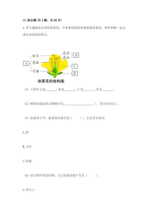 教科版四年级下册科学第一单元《植物的生长变化》测试卷精品【有一套】.docx