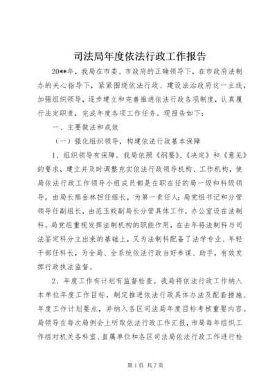 司法局年度依法行政工作报告.docx