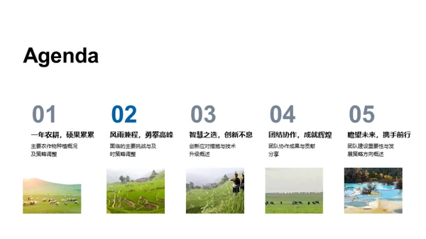 种植之道，成果之光